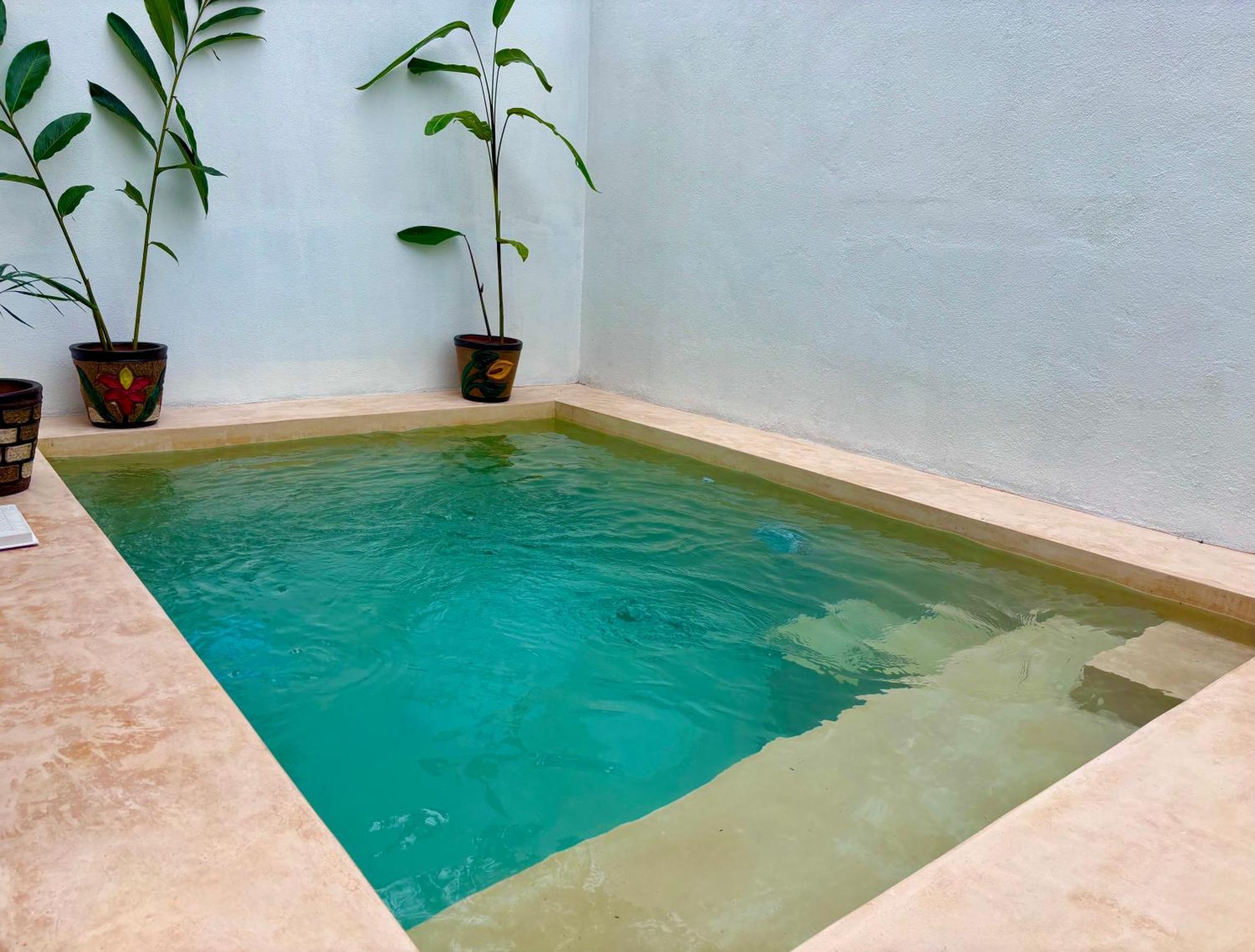 Excelente Alberca Privada En Residencial Privado, Gym, Asador Villa Ciudad Valles Exteriör bild