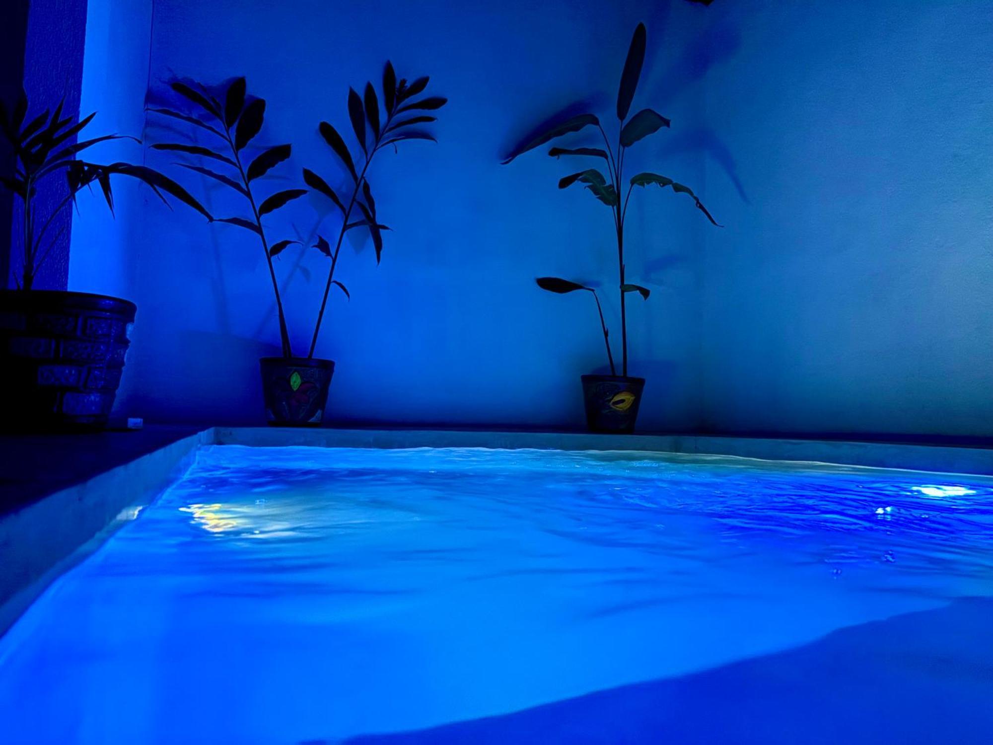Excelente Alberca Privada En Residencial Privado, Gym, Asador Villa Ciudad Valles Exteriör bild