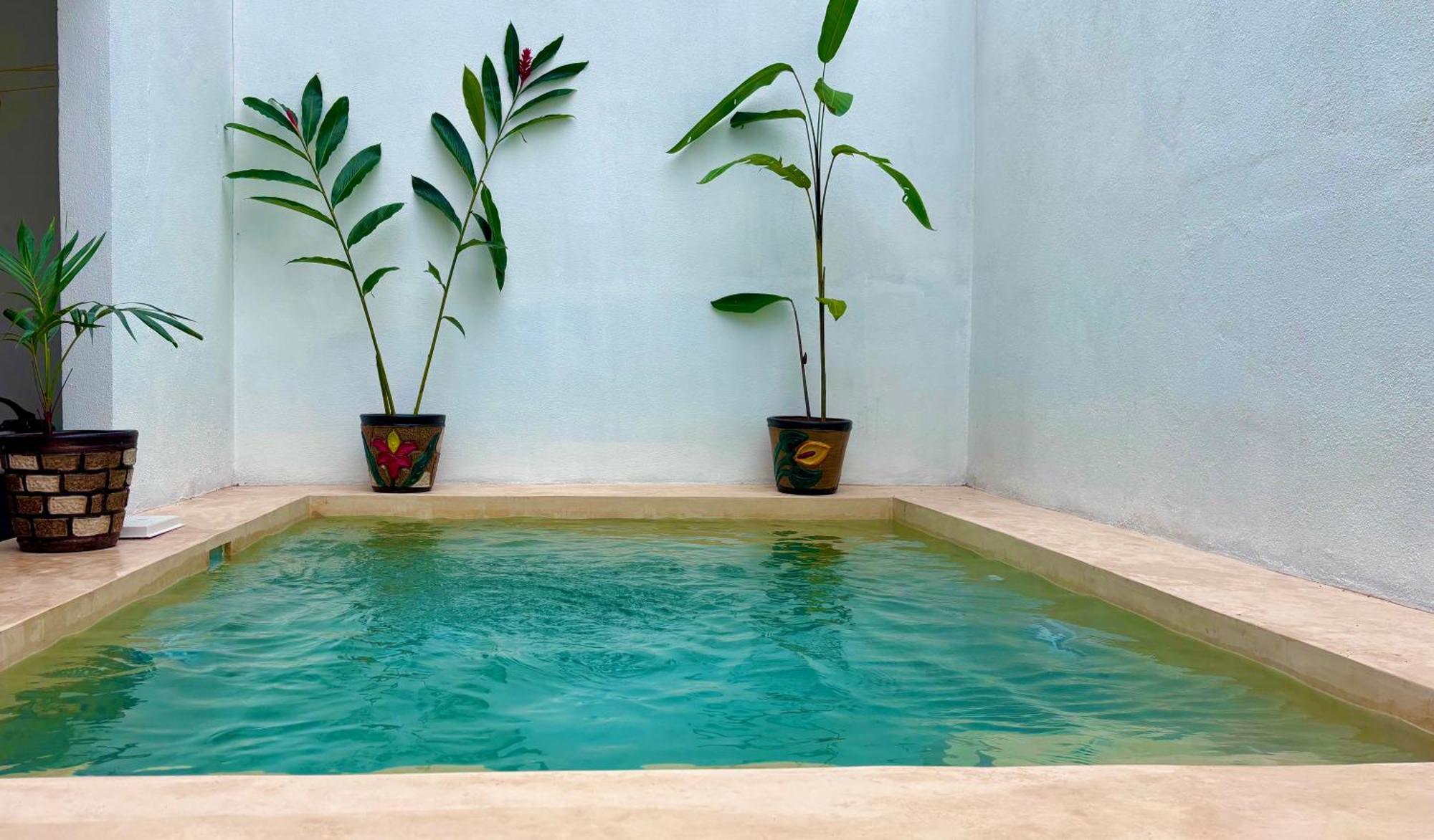 Excelente Alberca Privada En Residencial Privado, Gym, Asador Villa Ciudad Valles Exteriör bild