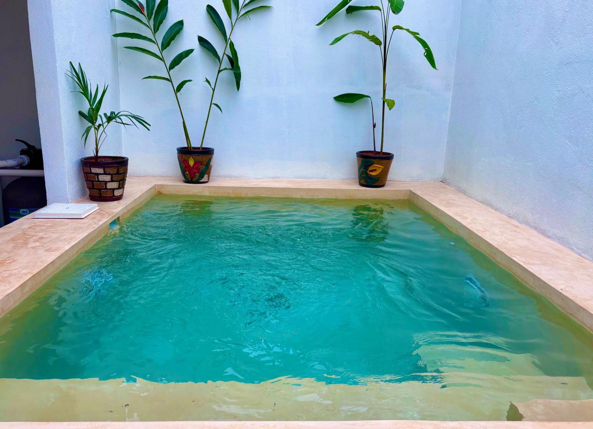 Excelente Alberca Privada En Residencial Privado, Gym, Asador Villa Ciudad Valles Exteriör bild