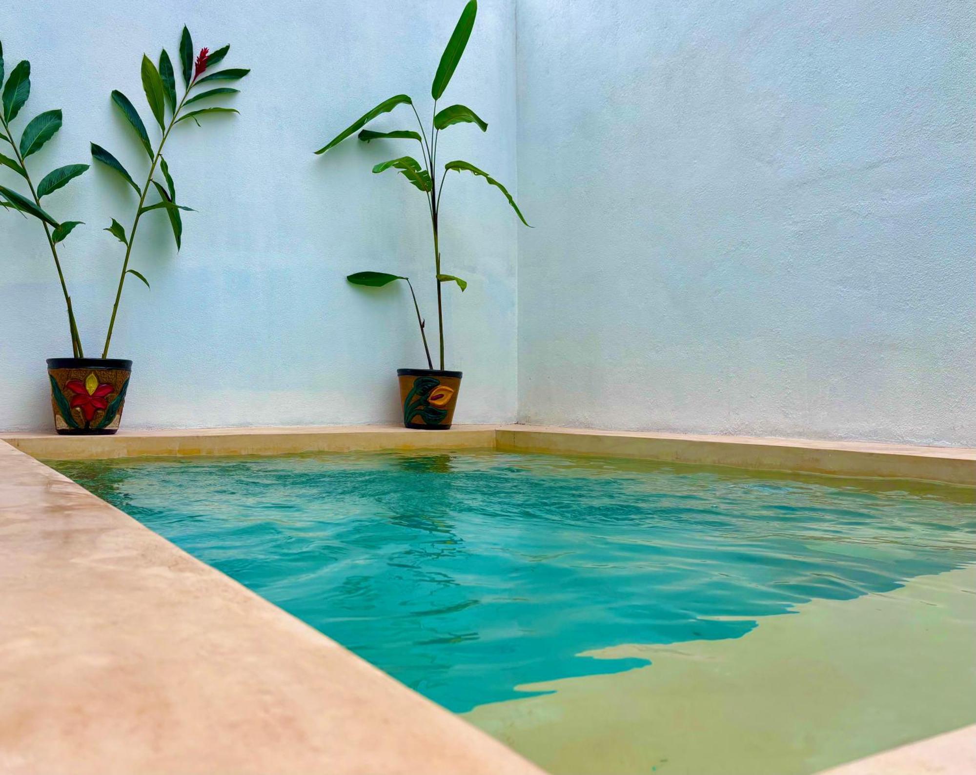 Excelente Alberca Privada En Residencial Privado, Gym, Asador Villa Ciudad Valles Exteriör bild